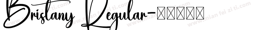 Bristany Regular字体转换